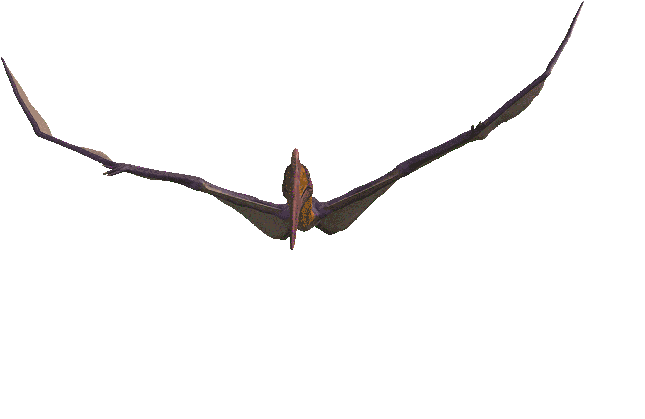 Dinosaur Flying Animation
