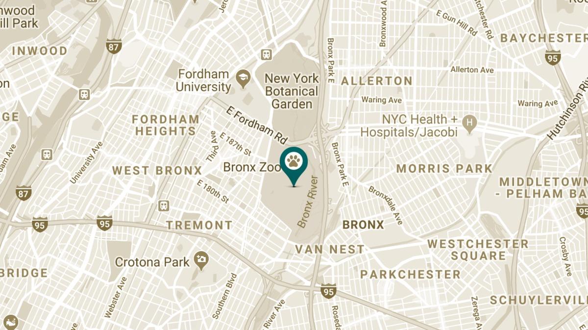 Street Map