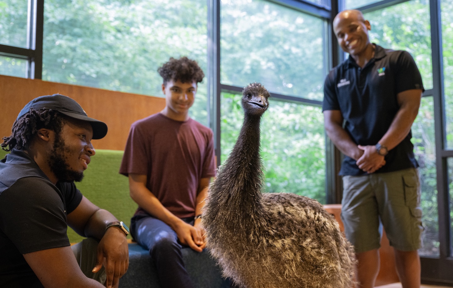 Emu with Guests