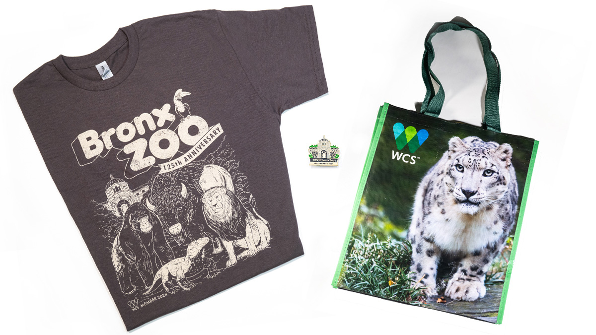 Virtual Membership Shirt, Pin, and Tote Bag