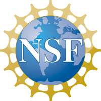 BZ NSF Logo