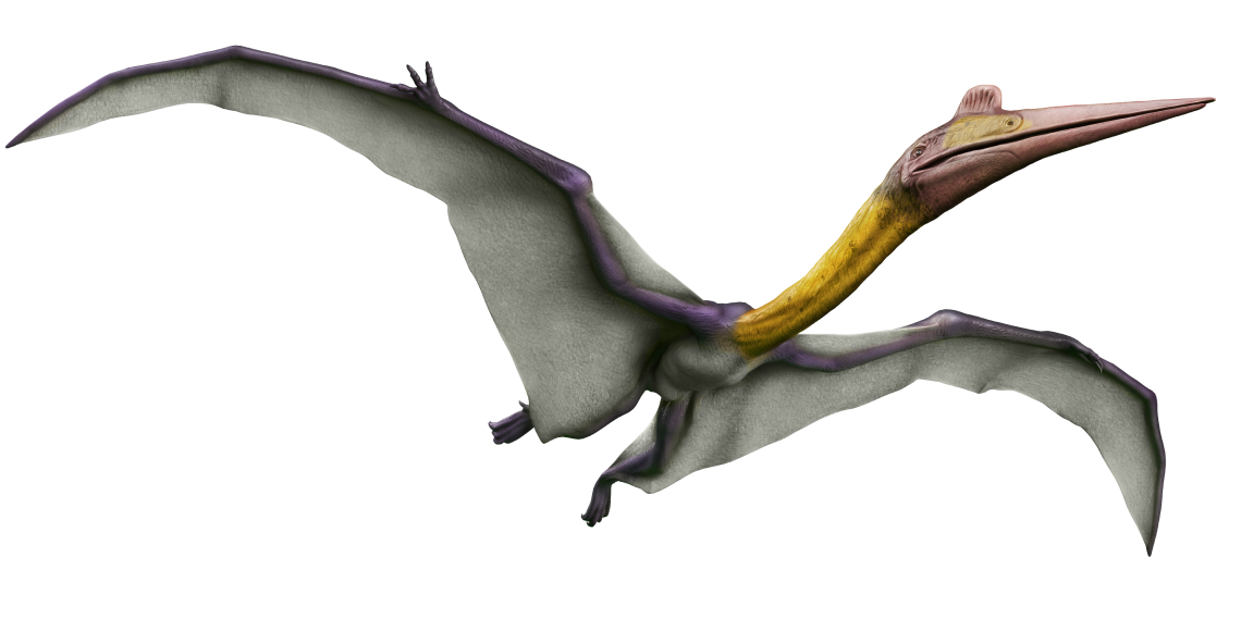 Quetzalcoatlus