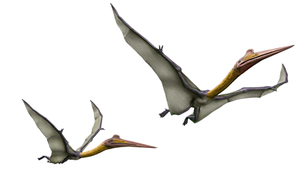 Quetzalcoatlus